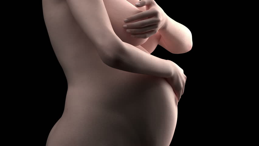 Pregnant Nipples Nude